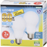 オーム電機 LED A E26 7.3W 昼白色2P 06-3300 1個