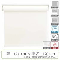 【幅1cm単位】抗ウイルスロールスクリーン幅191cm×高81~120cm tr4238-191x120-r75 1セット トーソー（直送品）