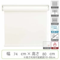 【幅1cm単位】抗ウイルスロールスクリーン幅74cm×高10~80cm tr4238-74x80-r65 1セット トーソー（直送品）