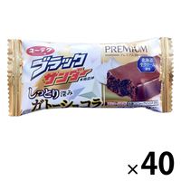 ブラックサンダー しっとり深みガトーショコラ 40本 有楽製菓 チョコレート