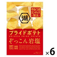 湖池屋プライドポテト ぞっこん岩塩 6袋 湖池屋 ポテトチップス スナック菓子 おつまみ