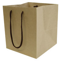 【紙袋】クラフトバッグ 真四角型 Lサイズ 1セット（50枚:10枚入×5袋 ）ハピラ