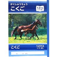 サンフレイムジャパン Ｂ5学習帳　こくご　12マス 500-2430 1セット（10冊）（直送品）