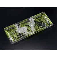 バイオPET 美枠寿司 1-5B みぞれ緑　800枚(50×16) FAPR094　リスパック（直送品）