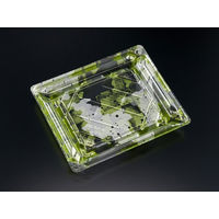 バイオPET 美枠寿司 2-3B みぞれ緑　800枚(50×16) FAPR244　リスパック（直送品）