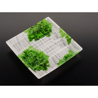 TUN-20-20 NEWレタス　900枚(50×18) FLJD612　リスパック（直送品）