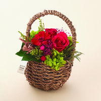 松村工芸 プリザーブドフラワー アレンジメント MAP-2212 プレリエ レッド 183-2212-8 1個（直送品）