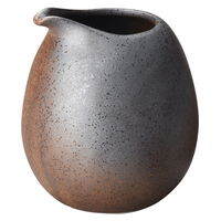 陶雅 冷酒器 黒