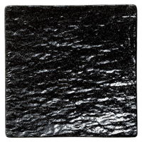 陶雅 正角皿 ブラックルーインズ 19cm正角皿 [2個入] tga-1818-259（直送品）