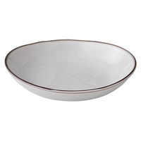 陶雅 中皿 ラフェルムスモークＷ22.5cm深皿 [2個入] tga-3118-157（直送品）