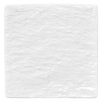 陶雅 正角皿 ペトラ ホワイト(石目レリーフ) 23cmYK正角皿 [2個入] tga-4718-156（直送品）