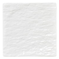 陶雅 正角皿 ペトラ ホワイト(石目レリーフ) 19cmYK正角皿 [2個入] tga-4718-162（直送品）