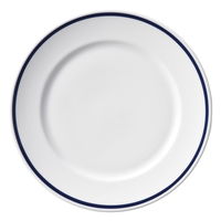 陶雅 中皿 インディゴブルー (ダイアセラム) ワイドリム20cmプレート [4個入] tga-4718-320（直送品）
