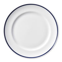 陶雅 中皿 インディゴブルー (ダイアセラム) ワイドリム17cmプレート [6個入] tga-4718-323（直送品）