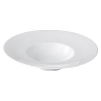 陶雅 スープ皿 白磁27cmスープ [2個入] tga-4818-022（直送品）