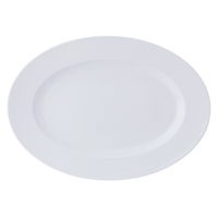 陶雅 楕円皿 GIGA2 GIGA リムプラター
