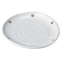 陶雅 取皿 青磁紅玉たわみ5.0皿 [3個入] tga-5518-100（直送品）