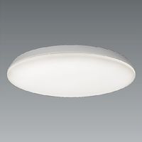 遠藤照明 シーリングライト ERG5497WB 1個（直送品）