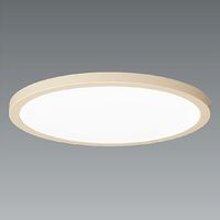 遠藤照明 シーリングライト ERG5498NB 1個（直送品）