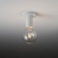 遠藤照明 シーリングライト ERG5556W 1セット(2個)（直送品）