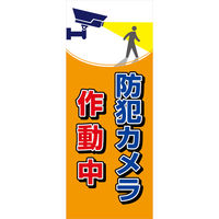 グリーンクロス 防犯カメラ看板【防犯カメラ作動中】 ＳＥＣＲー０８ 6300024177 1台（直送品）