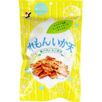 山栄食品工業 れもんいか天 80g 1袋(80g入)×24セット（直送品）