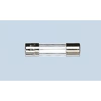 リテルヒューズ リテルヒューズ管ヒューズ 10A 6.3 x 32mm 250V ac (速断型) 312010P 1ロット(10個)（直送品）