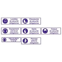 必須標識 Brady Mandatory Safety Shoes フランス語 PET 青 297 x 105mm 205933 1個（直送品）