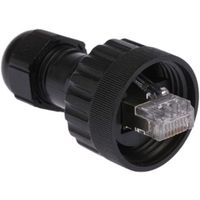 Brad from Molex RJ45 モジュラーコネクタ， オス， RJ45コネクタ， ケーブルマウント， Cat5e， ENSAM315（直送品）