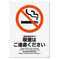KALBAS　標識 指定以外喫煙ご遠慮 ステッカー強粘 138×194mm 2枚入 KFK3034　1セット(2枚）（直送品）