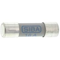 SIBA (シバ) 管ヒューズ 16A 10 x 38mm 1kV dc 5021526.16 1個（直送品）