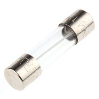 Schurter (シュルター)管ヒューズ 160mA 5 x 20mm 250V ac (タイムラグ) 0034.3109（直送品）