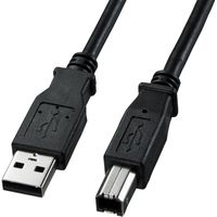 サンワサプライ USB2.0ケーブル（ブラック・1m） KU20-1BKK2 1本