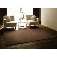 スミノエ BIGSIZERUG 防炎・消臭 ラグ ラックスファー 2610×3520mm ブラウン 1枚（直送品）