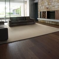 スミノエ BIGSIZERUG 防炎・消臭 ラグ スミトロンニューサキソニー 2000×2500mm ベージュ 1枚（直送品）