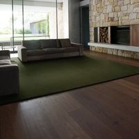 スミノエ BIGSIZERUG 防炎・消臭 ラグ スミトロンニューサキソニー 2000×2500mm グリーン 1枚（直送品）