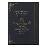 デザインフィル ミドリ 日記 3年連用 ウェイオブライフ 12080001 1冊（直送品）