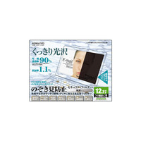コクヨ（KOKUYO） OAフィルター/のぞき見防止・光沢タイプ 12.1型ワイド用 視認角度60度 EVF-CLPR12WN 1枚（直送品）
