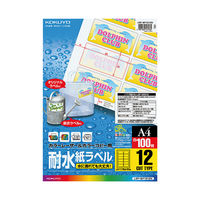 コクヨ（KOKUYO） カラーLBP&コピー用耐水紙ラベル A4 12面カット 100枚入 LBP-WP1912N 1袋（100シート入）（直送品）