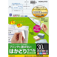 コクヨ（KOKUYO） プリンタを選ばないはかどりラベル A4 30面 100枚入り KPC-E1301-100N 1袋（100シート入）（直送品）