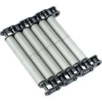 椿本チエイン (株)椿本チエイン プラローラテーブル RT形 RT416ーSSーL 1L（直送品）