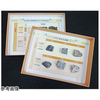 アズワン 代表的な火成岩とそのつくり 67-8046-96 1箱（直送品）