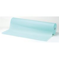 Ciメディカル Ci ロールシーツ リフィル 570mm×100m グリーン 63-4158-38 1本（直送品）