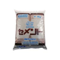 家庭化学工業 生セメント 4kg グレー 209737 1個 63-1865-35（直送品）