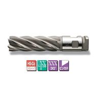 三興製作所 コンビネーションシャンク6枚刃スクエアエンドミル CNSE6T 50X75 1本（直送品）