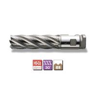 三興製作所 コンビネーションシャンクαニックエンドミル(6枚刃) CNα 50X255 CNa 1本（直送品）