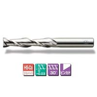 三興製作所 2枚刃ロング刃エンドミル LVS2T 19.9 19.9X65 1本（直送品）