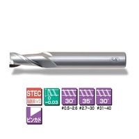 三興製作所 エステック2枚刃エンドミル(ショート刃) STEC2T 11.3 1本（直送品）