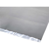 ステム オートクレーブバッグ L 24972801 B50701N(100マイ) 1箱(100入)（直送品）