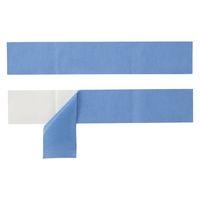 ハリヤード テープストリップ 25322900 HALYARD 89053(2マイX150マイ) 1箱(2枚入x150パック)（直送品）